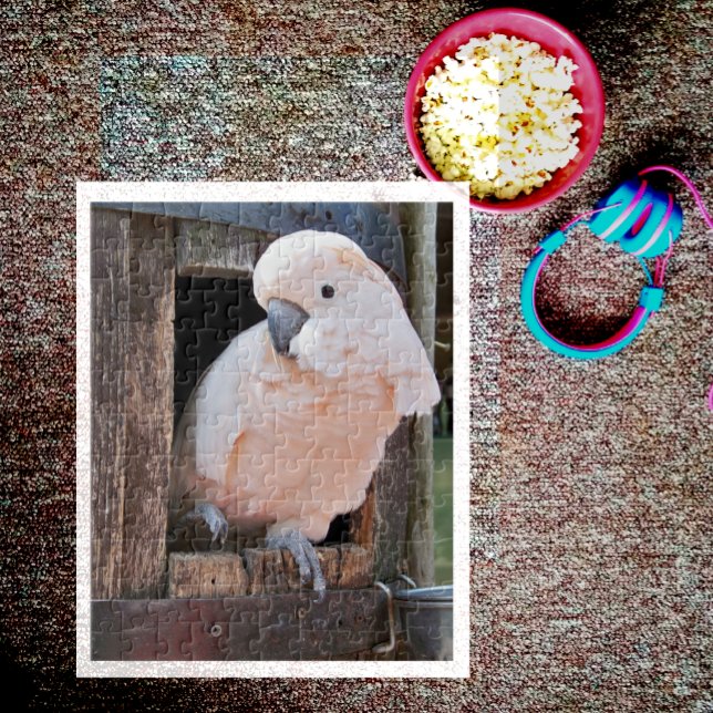 Puzzle Moluccan Cockatoo (Subido por el creador)