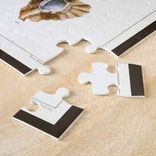Puzzle Moluscos y caracoles, organismos de la vida marina
