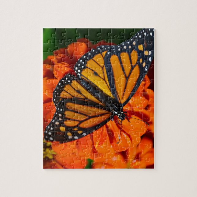 Puzzle Monarca (Vertical)