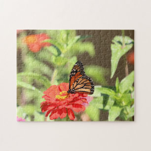 Puzzle Monarca de Octubre