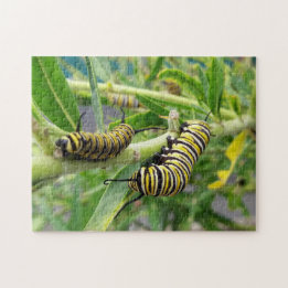 Puzzle Monarca Mariposa Caterpillar Insectos