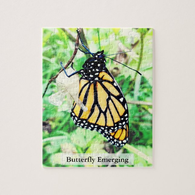 Puzzle Monarch Butterfly Emerging 110Pcs (Vertical)