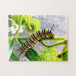 Puzzle Monarch Caterpillar
