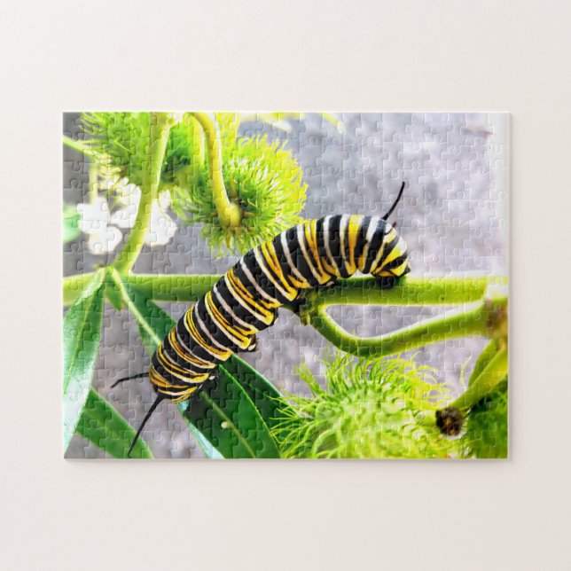 Puzzle Monarch Caterpillar (Horizontal)
