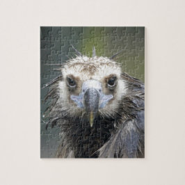 Puzzle Mönchsgeier