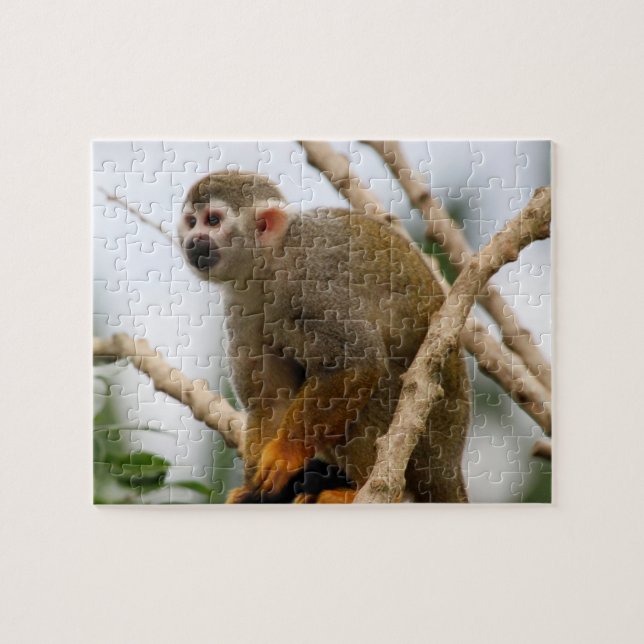 Puzzle Monkey_2014_1201 (Horizontal)