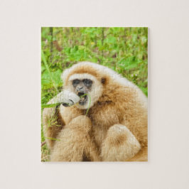 Puzzle Monkey Animal divertido