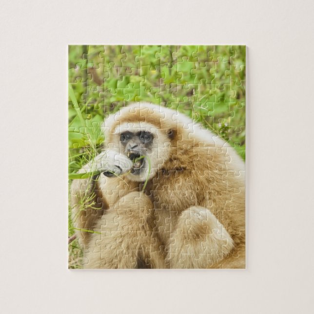 Puzzle Monkey Animal divertido (Vertical)