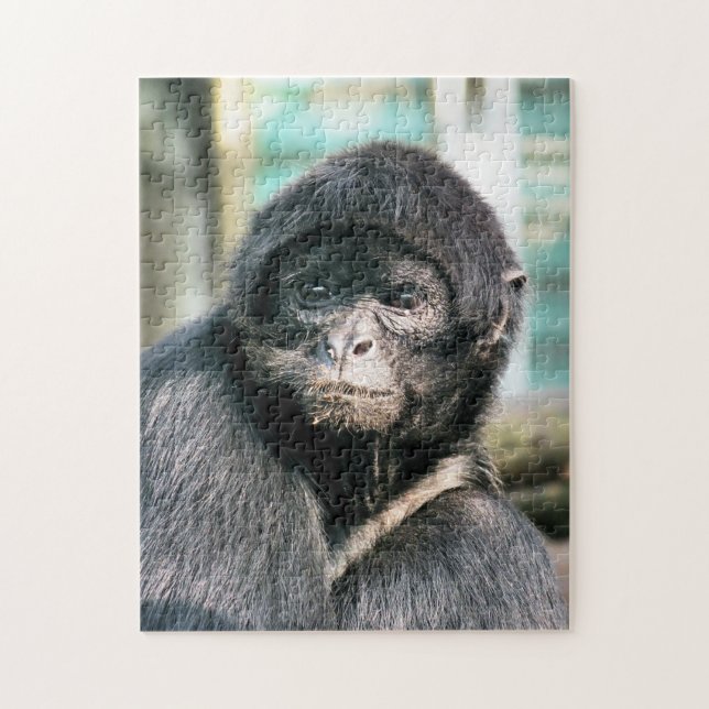 PUZZLE MONKEYS (Vertical)