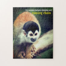 Mono ardilla en el árbol