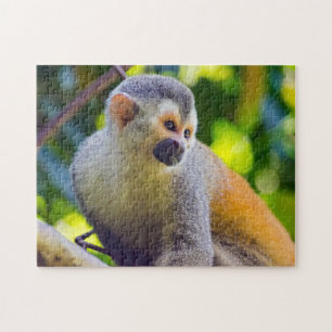 Puzzle Mono ardilla en el PN Manuel Antonio - Costa Rica