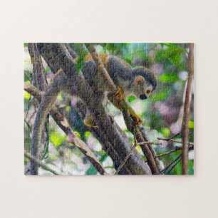 Puzzle Mono ardilla en el PN Manuel Antonio - Costa Rica