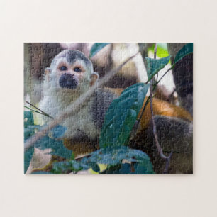 Puzzle Mono ardilla en el PN Manuel Antonio - Costa Rica