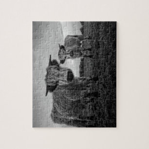Puzzle Mono de vaca de alto parque