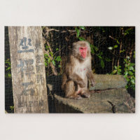 Mono del templo ZaZen Arashiyama Kioto Japón