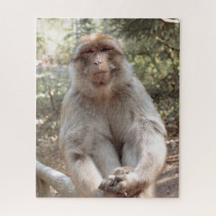 Puzzle Mono lindo