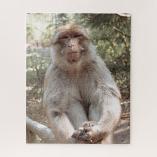 Puzzle Mono lindo