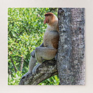 Puzzle Mono narigudo