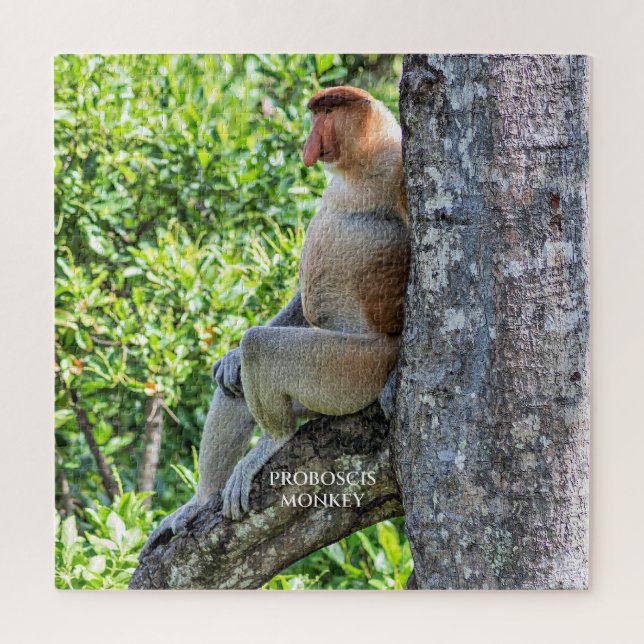 Puzzle Mono narigudo (Vertical)