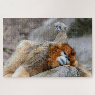 Puzzle Mono Nariz Chata Dorado Padre con Bebe