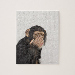 Puzzle Mono que frota su cara