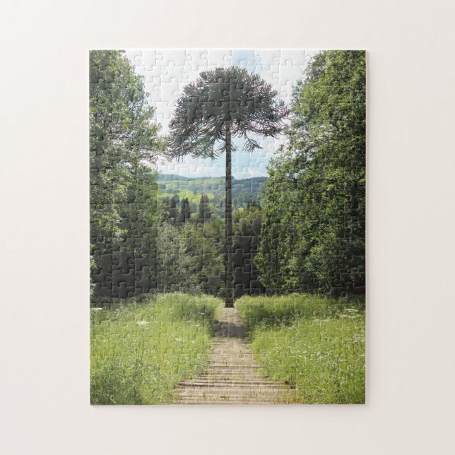 Puzzle Mono-rompecabezas (Vertical)