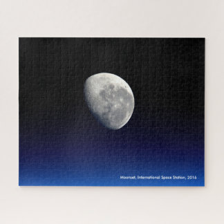 Puzzle Mononset, Estación Espacial Internacional, 2016