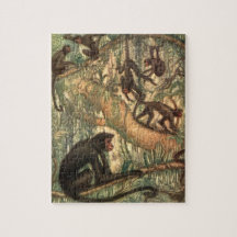 Monos araña rojos de Louis Sargent