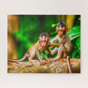 Puzzle Monos jóvenes.