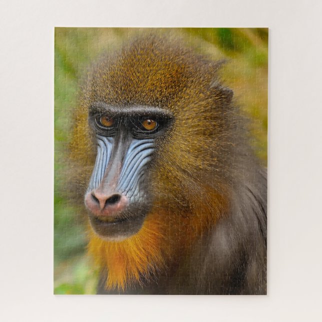 Puzzle Monos Mandril. (Vertical)