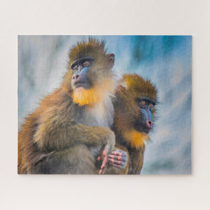 Puzzle Monos Mandril.
