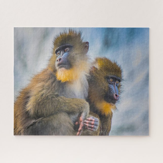 Puzzle Monos Mandril. (Horizontal)