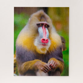 Puzzle Monos Mandrill.