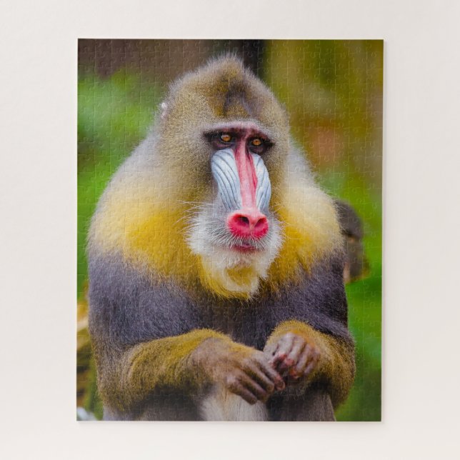 Puzzle Monos Mandrill. (Vertical)