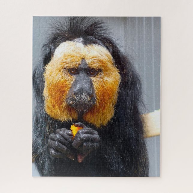 Puzzle Monos Saki. (Vertical)