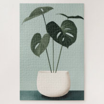 Monstera en una olla blanca