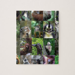Puzzle Montaje de primates de mono