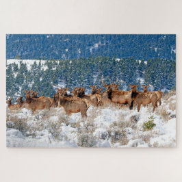 Puzzle Montana Elk Herd