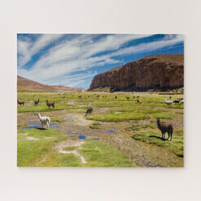 Puzzle Montañas | Andes bolivianos (Horizontal)