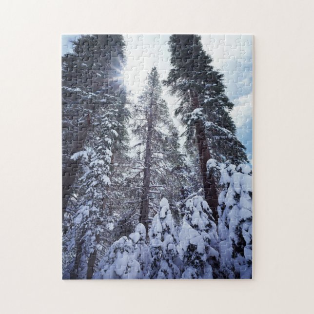 Puzzle Montañas California, Sierra Nevada 9 (Vertical)