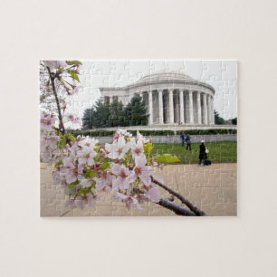 Puzzle Monumento a Thomas Jefferson con flor de cerezo