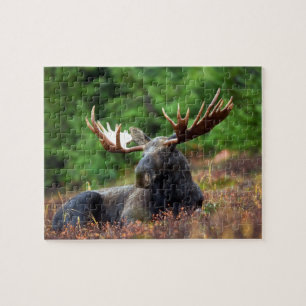 Puzzle Moose