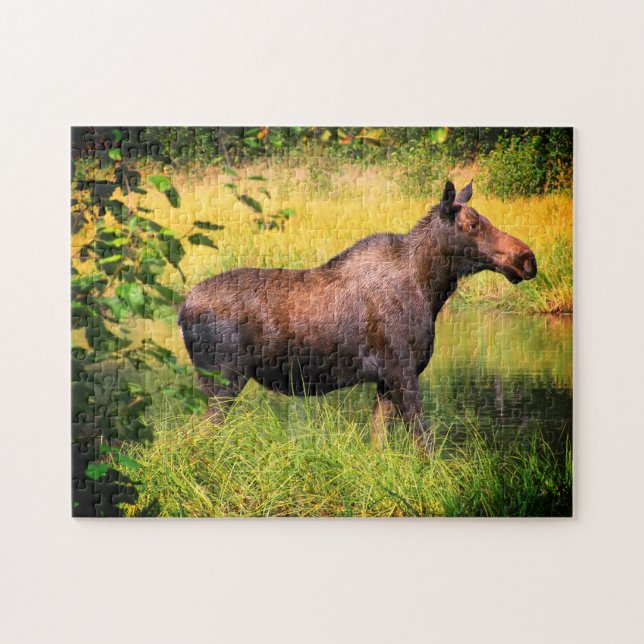 Puzzle Moose (Horizontal)