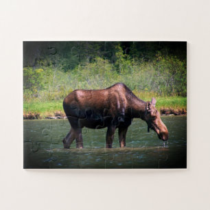 Puzzle Moose