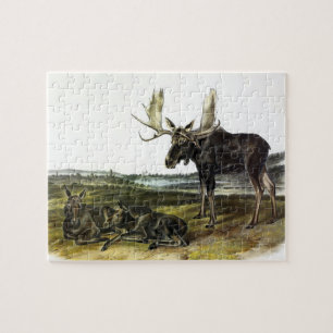 Puzzle Moose Deer (Moose - Alces alces) de Audubon