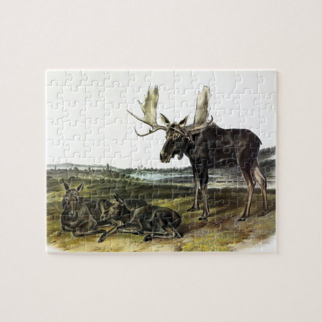Puzzle Moose Deer (Moose - Alces alces) de Audubon (Horizontal)