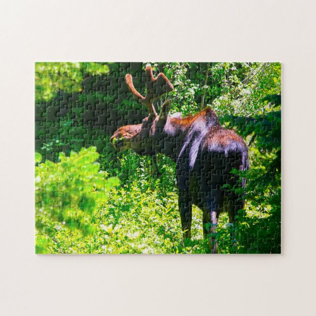 Puzzle Moose en Grand Tetons. (Horizontal)