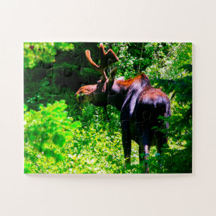 Puzzle Moose Wyoming
