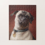 Puzzle Mops | Carl Reichert<br><div class="desc">Mops | Carl Reichert’s Mops is a captivating portrait of a curious-looking pug set against a moody burgundy background. The painting highlights the pug’s expressive face and wrinkled features, rendered with exquisite detail and lifelike texture. The rich tones of the background create a dramatic contrast, emphasizing the playful yet dignified...</div>