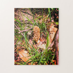 Puzzle Morel amarillo solitario